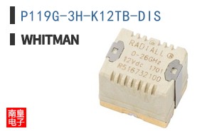 P119G-3H-K12TB-DIS ͼƬ